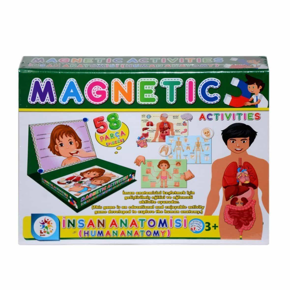 LC7171 Manyetik  Aktiviteler İnsan  Anotomisi